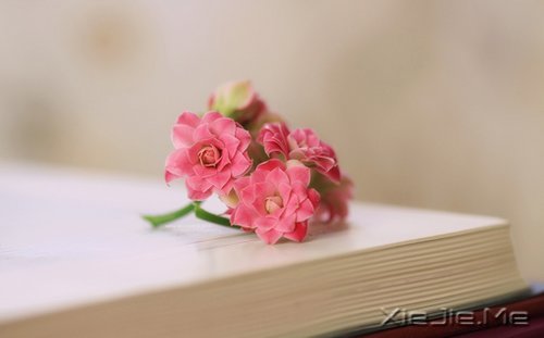 ���ۺû������춼�ᵽ�� (1)