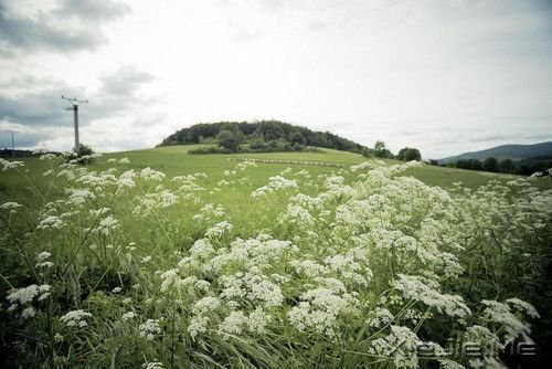 早安心语:照顾每个人的感受,注定自己不会好受 (4)
