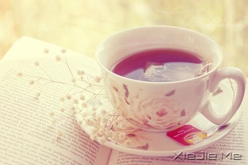 ������������õĳ�ŵ�������Ұ��㣬�����һ�һֱ������ (7)