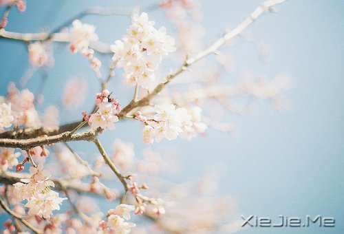 常常观自心,便会更智慧 (7)