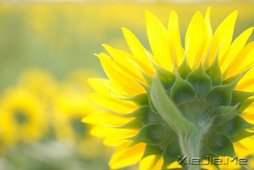 һ�������ˣ�����ȥԶ�� (1)