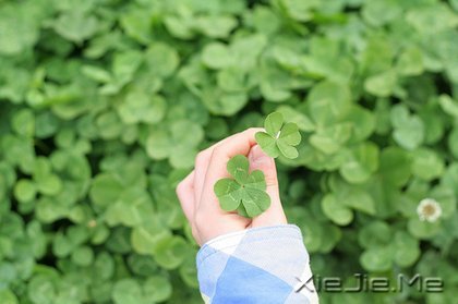 文字:接受自己本来的样子