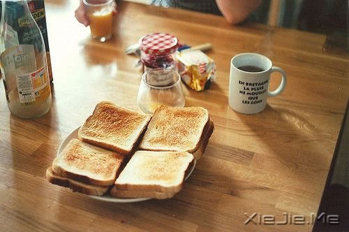 治愈系图片 (5)